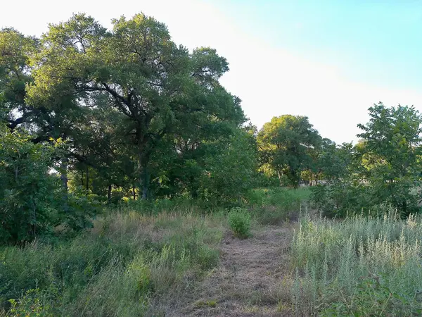 100 Serenity DR, Liberty Hill, TX 78642