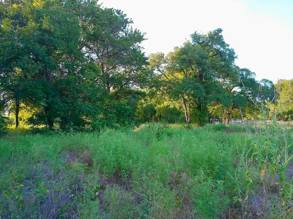 100 Serenity DR, Liberty Hill, TX 78642