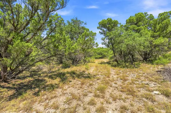 TBD Lot 2 Lipan RUN, Fischer, TX 78623