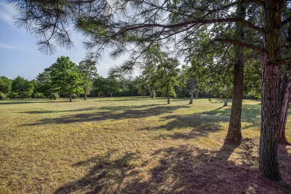123 Split Oak RD, Smithville, TX 78957