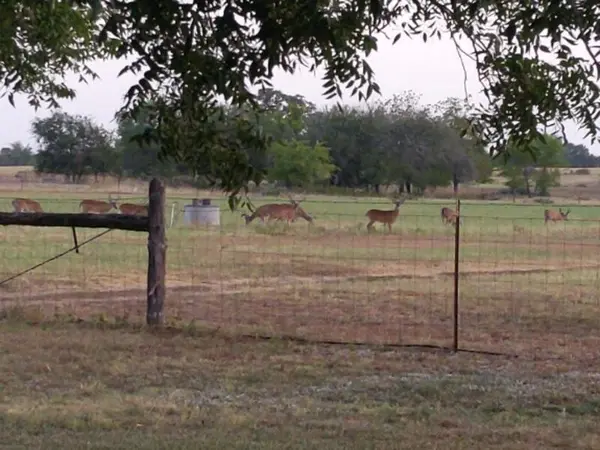 10905 fm 1915 fm1915 HWY, Buckholts, TX 76518