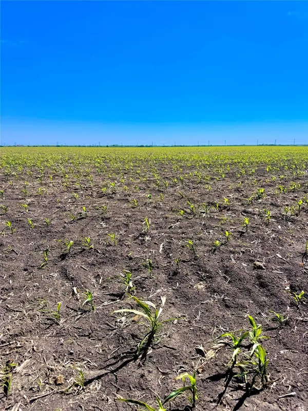 TBD Tract 4 Lund Carlson RD, Coupland, TX 78615