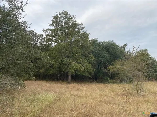 TBD County Road 405, Buckholts, TX 76518