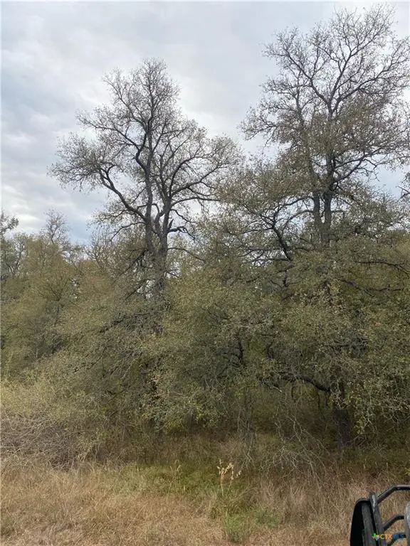 TBD County Road 405, Buckholts, TX 76518