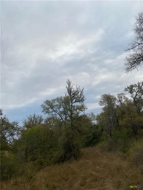 TBD County Road 405, Buckholts, TX 76518