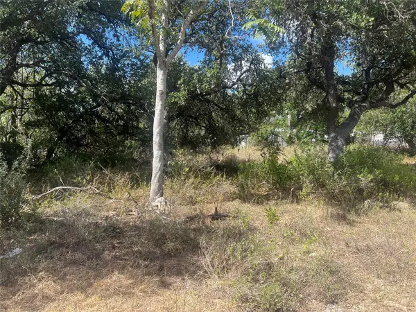 542 Flintstone DR, Canyon Lake, TX 78133