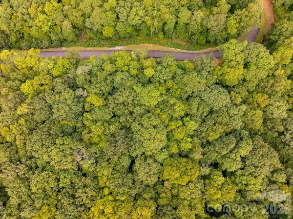 0 RAINBOW TROUT DR #84, Spruce Pine, NC 28777