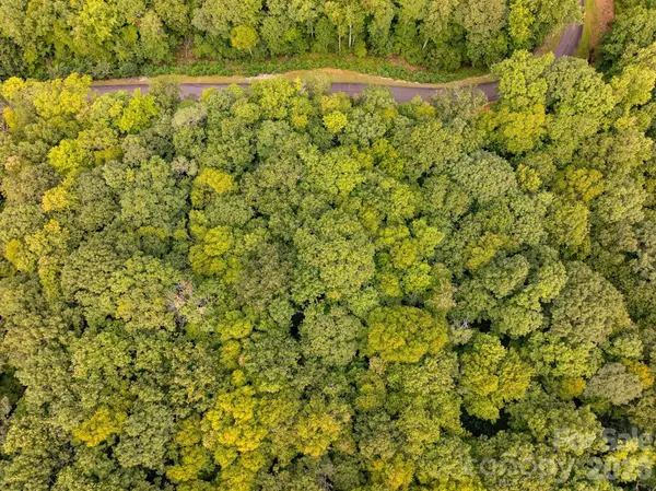 0 RAINBOW TROUT DR #84, Spruce Pine, NC 28777