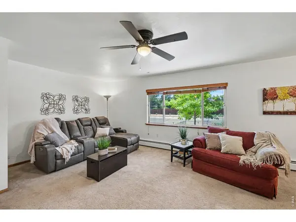 515 7th, Windsor, CO 80550