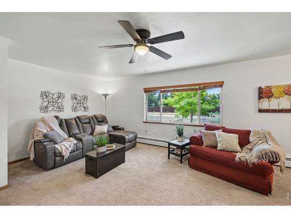 515 7th, Windsor, CO 80550