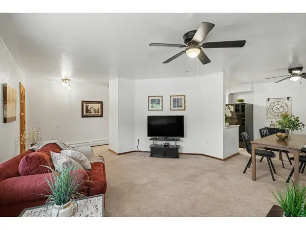 515 7th, Windsor, CO 80550