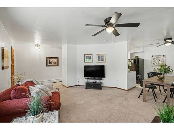 515 7th, Windsor, CO 80550