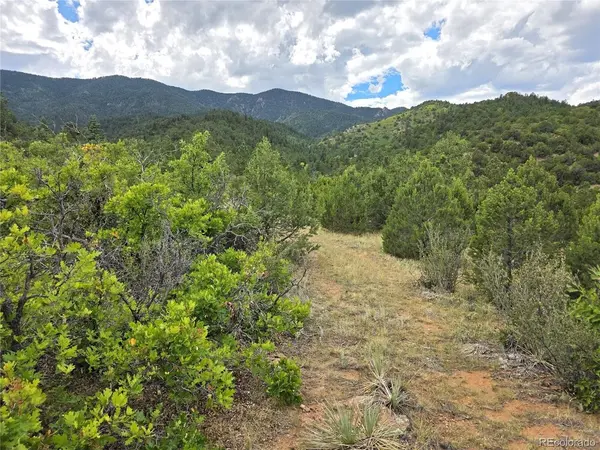 6179 County Road 84, Florence, CO 81226