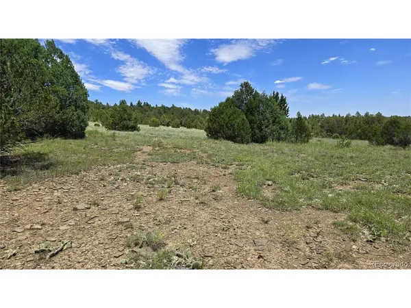 20 Colorado Mountain Lake Estates, Trinidad, CO 81082