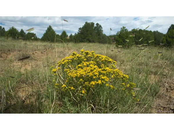 20 Colorado Mountain Lake Estates, Trinidad, CO 81082