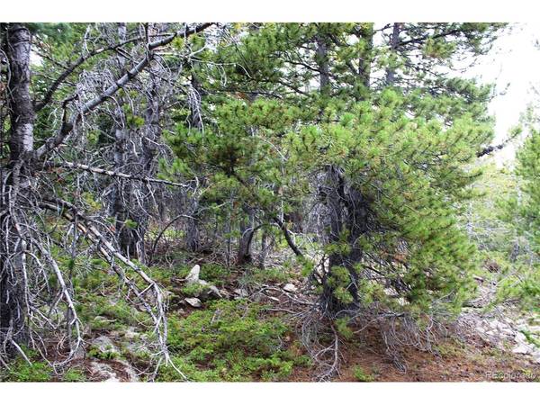 5285 Lucy Agnes, Black Hawk, CO 80422
