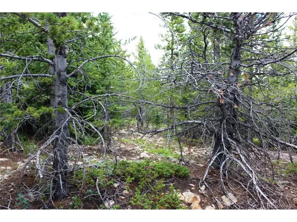 5285 Lucy Agnes, Black Hawk, CO 80422