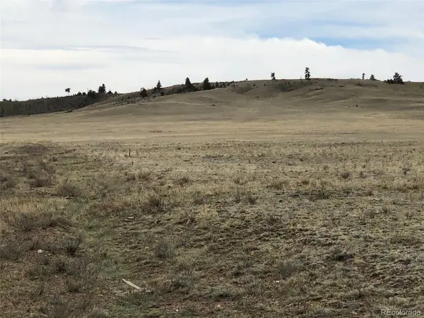 0 Seneca, Hartsel, CO 80449