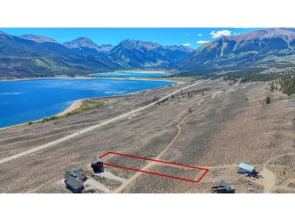 483 Mount Hope, Twin Lakes, CO 81251