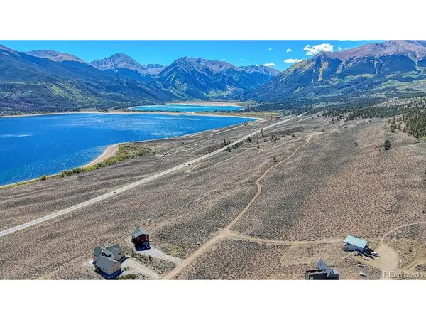 483 Mount Hope, Twin Lakes, CO 81251