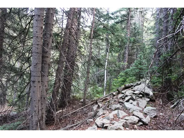 0 Gamble Gulch, Black Hawk, CO 80422