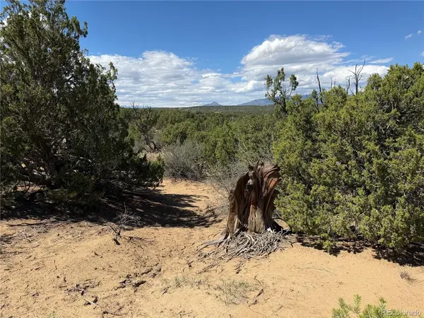 81 Twin Lakes Ranch, Walsenburg, CO 81089