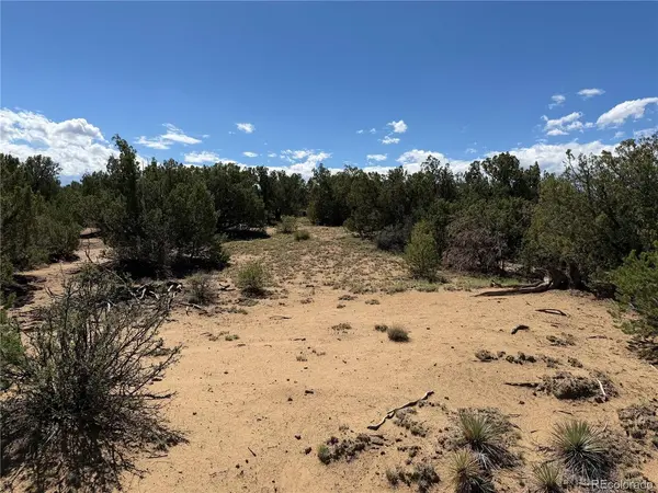 81 Twin Lakes Ranch, Walsenburg, CO 81089