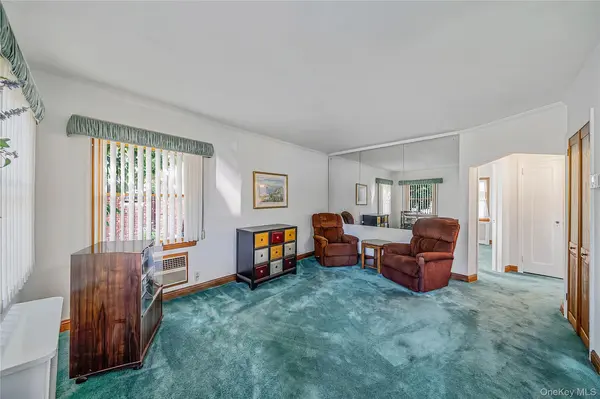 45 Park CIR, New Hyde Park, NY 11040