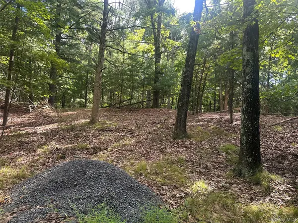Cedar DR, Elizaville, NY 12523