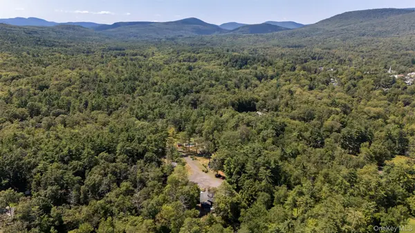 20 Country Club LN, Woodstock, NY 12498