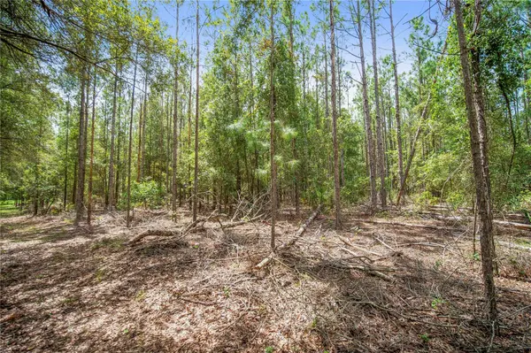 NE CR 337, High Springs, FL 32643