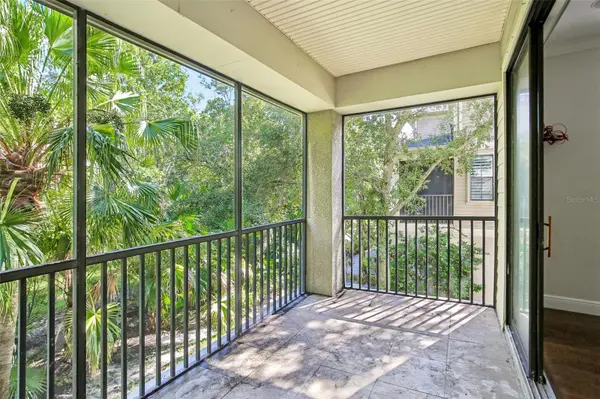 6223 ANHINGA PL, Tampa, FL 33615