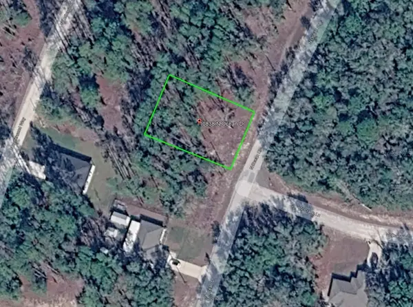 10838 N OCEAN DR, Citrus Springs, FL 34434