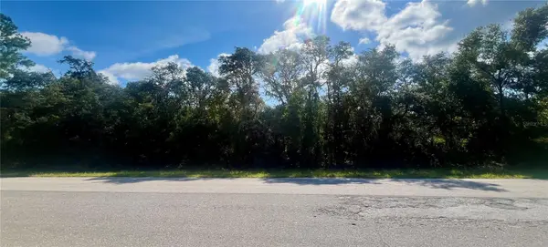 TBD FISHER RD, Ocklawaha, FL 32179