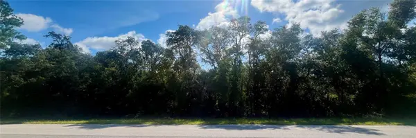 TBD FISHER RD, Ocklawaha, FL 32179