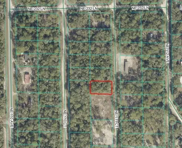 NE 111 COURT, Fort Mc Coy, FL 32134