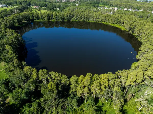 TBD COLLIER Pkwy, Land O Lakes, FL 34639