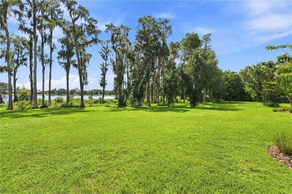 17331 LADERA ESTATES BLVD, Lutz, FL, 33548 photo 70