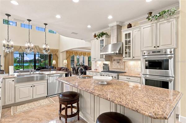 17331 LADERA ESTATES BLVD, Lutz, FL, 33548 photo 16