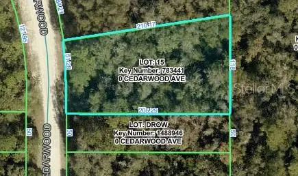 CEDARWOOD AVE, Weeki Wachee, FL 34614