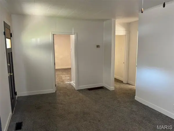 501 Hoffman St, Leadwood, MO 63653