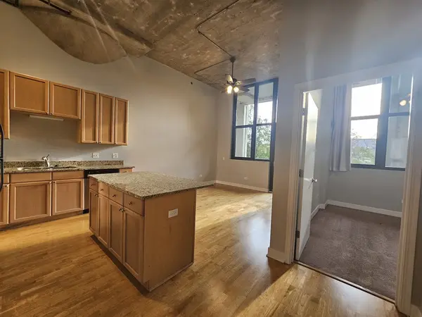 320 E 21st ST #208, Chicago, IL 60616