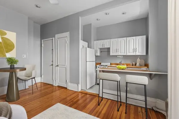 20 E Goethe ST #206, Chicago, IL 60610