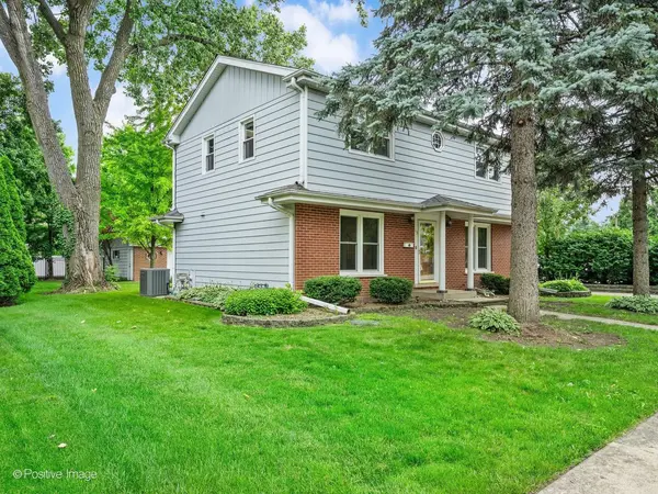 113 N Oak ST, Elmhurst, IL 60126