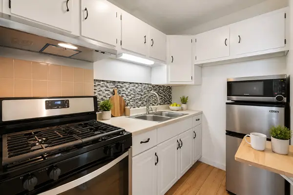 5300 S Shore DR #810, Chicago, IL 60615