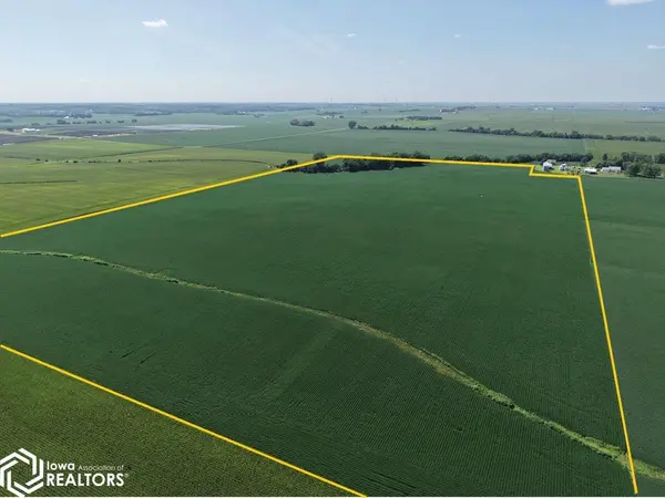 Co. Rd. 00 E, Mineral, IL 61361