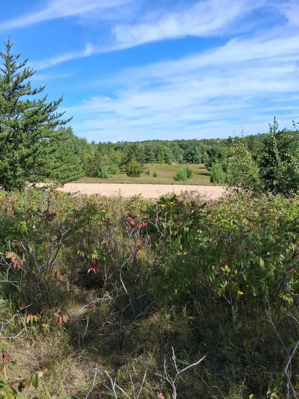 TBD Overland DR, Browerville, MN 56438