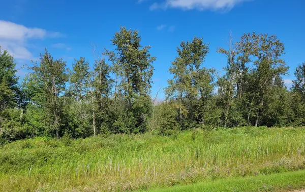 TBD 48th Street NW, Williams, MN 56686