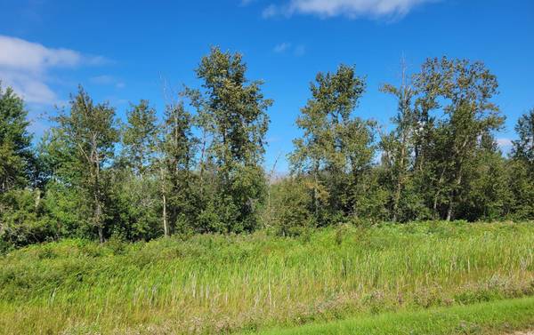 TBD 48th Street NW, Williams, MN 56686