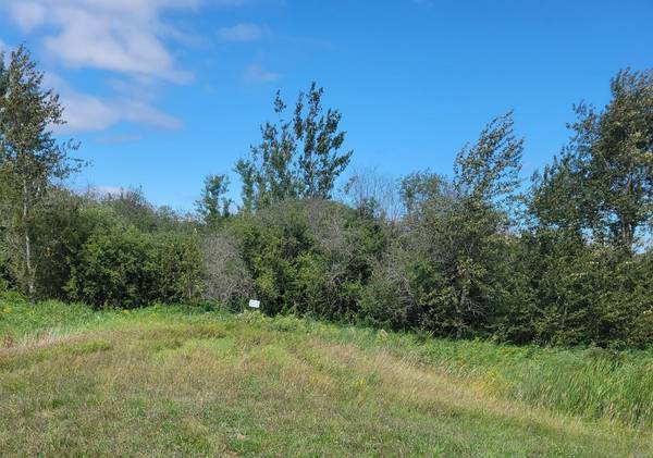 TBD 48th Street NW, Williams, MN 56686